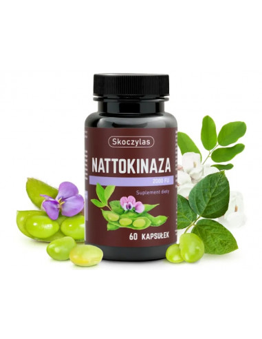 NATTOKINAZA 2000 FU 60kaps. - MAREK SKOCZYLAS