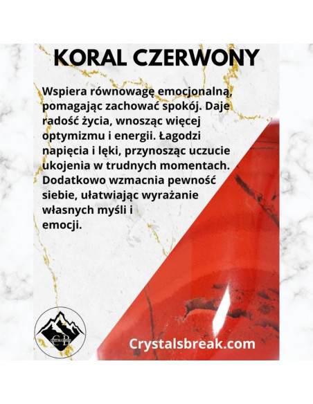 copy of A NIECH SIĘ BRUDZĄ ! BRETT FINLAY MARIE-CLAIRE ARRIETA