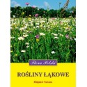 ROŚLINY ŁĄKOWE. ZBIGNIEW NAWARA