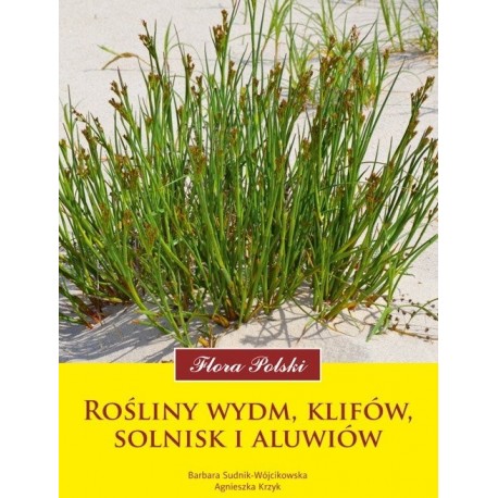 ROŚLINY WYDM KLIFÓW SOLNISK I ALUWIÓW. BARBARA SUDNIK-WÓJCIKOWSKA AGNIESZKA KRZYK