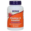 CHOLINA I INOZYTOL, 500ml, 100 kaps. NOW FOODS