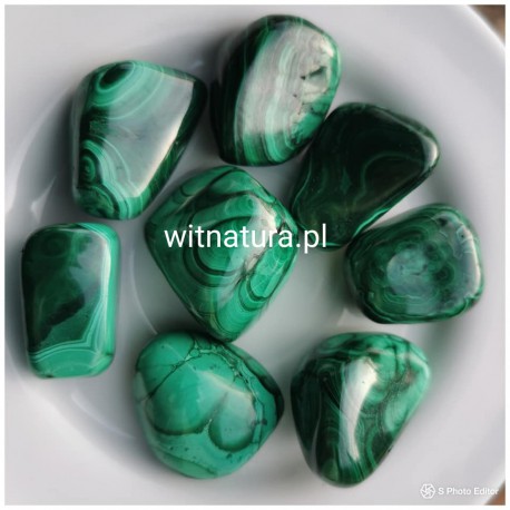 A NIECH SIĘ BRUDZĄ ! BRETT FINLAY MARIE-CLAIRE ARRIETA