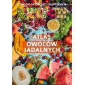 ATLAS OWOCÓW JADALNYCH PRACA ZBIOROWA - SBM
