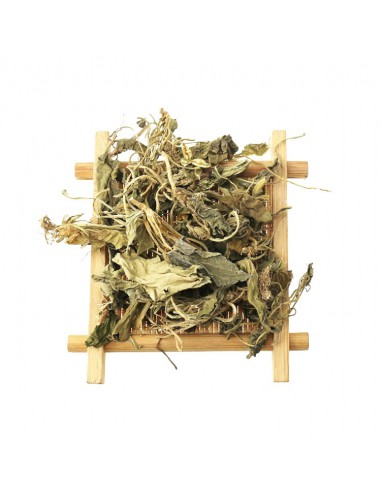 copy of LIFE POWDER 50g SPROSZKOWANE WARZYWA, ROŚLINY I ALGI