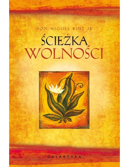 copy of A NIECH SIĘ BRUDZĄ ! BRETT FINLAY MARIE-CLAIRE ARRIETA