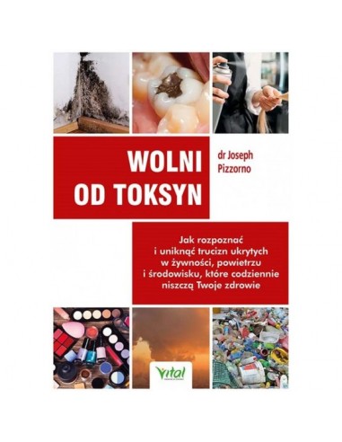 copy of JAK NAPRAWIĆ USZKODZONY MÓZG DR NORMAN DOIDGE