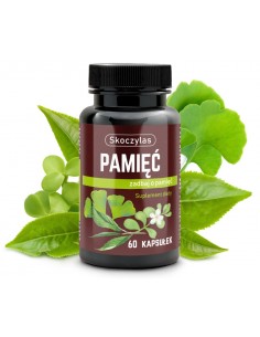 PAMIĘĆ 60 VEGE KAPS - MAREK SKOCZYLAS