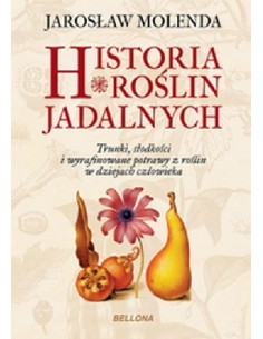 copy of HISTORIA WEWNĘTRZNA GIULIA ENDERS