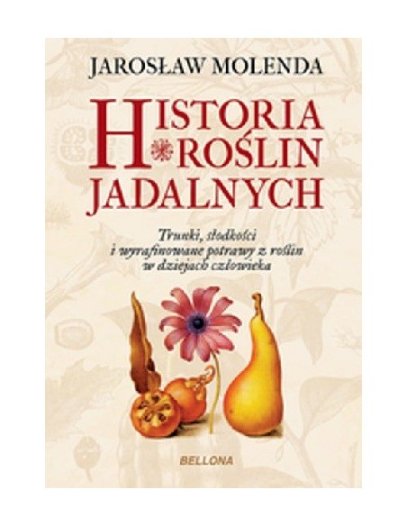 copy of HISTORIA WEWNĘTRZNA GIULIA ENDERS