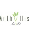 ANTHYLLIS